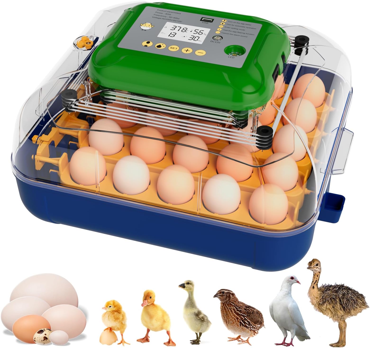 25 Egg Incubator with Automatic Turner, Digital Temperature & Humidity Control, Built-in Egg Candler, External Water Refill, for Hatching Chicken, Duck,Goose, Home, School Use