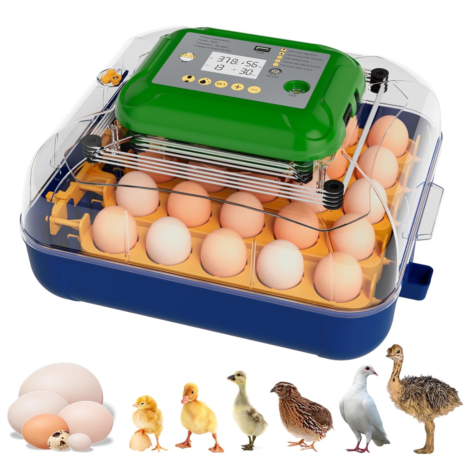 25 Egg Incubator with Automatic Turner, Digital Temperature & Humidity Control, Built-in Egg Candler, External Water Refill, for Hatching Chicken, Duck,Goose, Home, School Use
