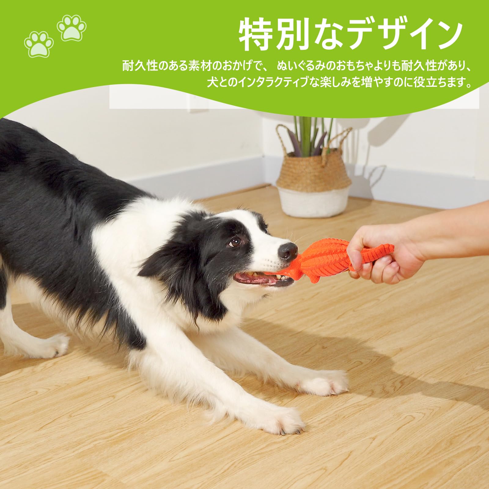 Amazon | 犬 おもちゃ 音が出る 噛んでも壊れない クロコダイル Amazon | 犬 おもちゃ 音が出る 噛んでも壊れない クロコダイル