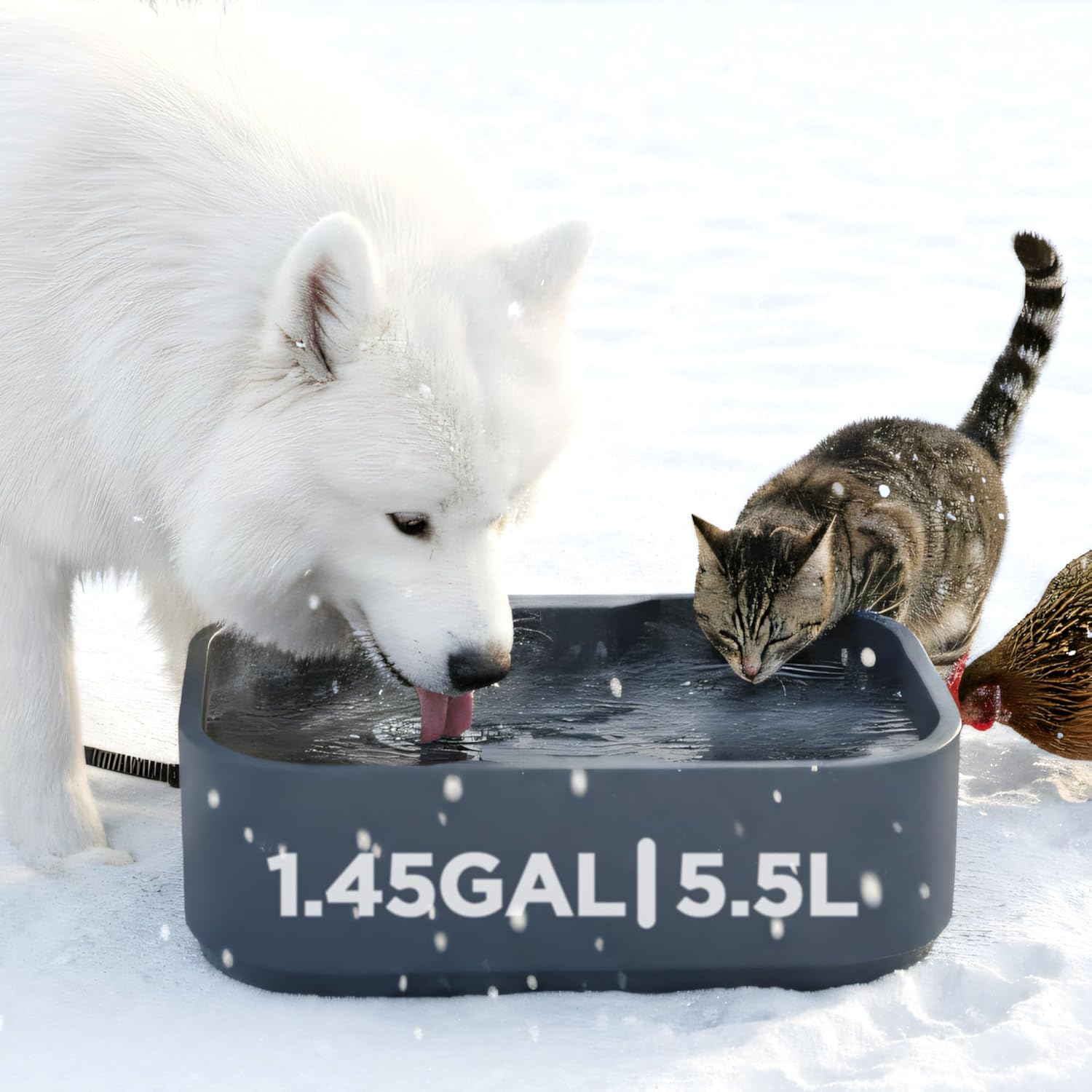 Heated Water Bowl, 5.5L/1.45Gal Extra Large Winter Freeze Proof Pet Heated Water Bowl with Anti Chewy Long Cord, BPA-Free, for Dog Cats Rabbit Chicken Duck Squirrel Animals Outside Heated Water Bucket