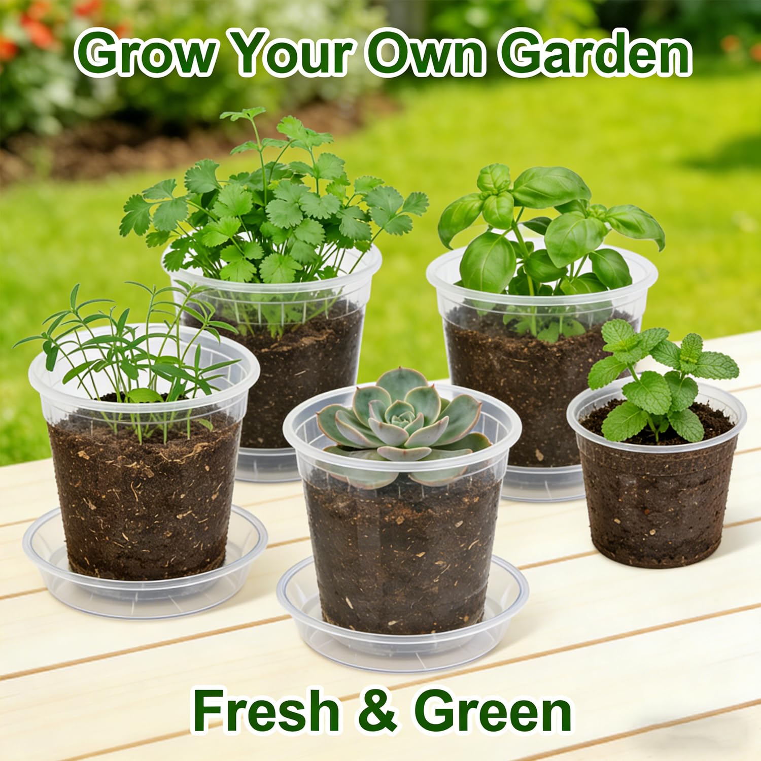 Lot de 25 pots de fleurs de jardin en plastique transparent avec plateaux de drainage, pots de pépinière avec trous de drainage pour la propagation des légumes, plantes grasses, fleurs, comprend