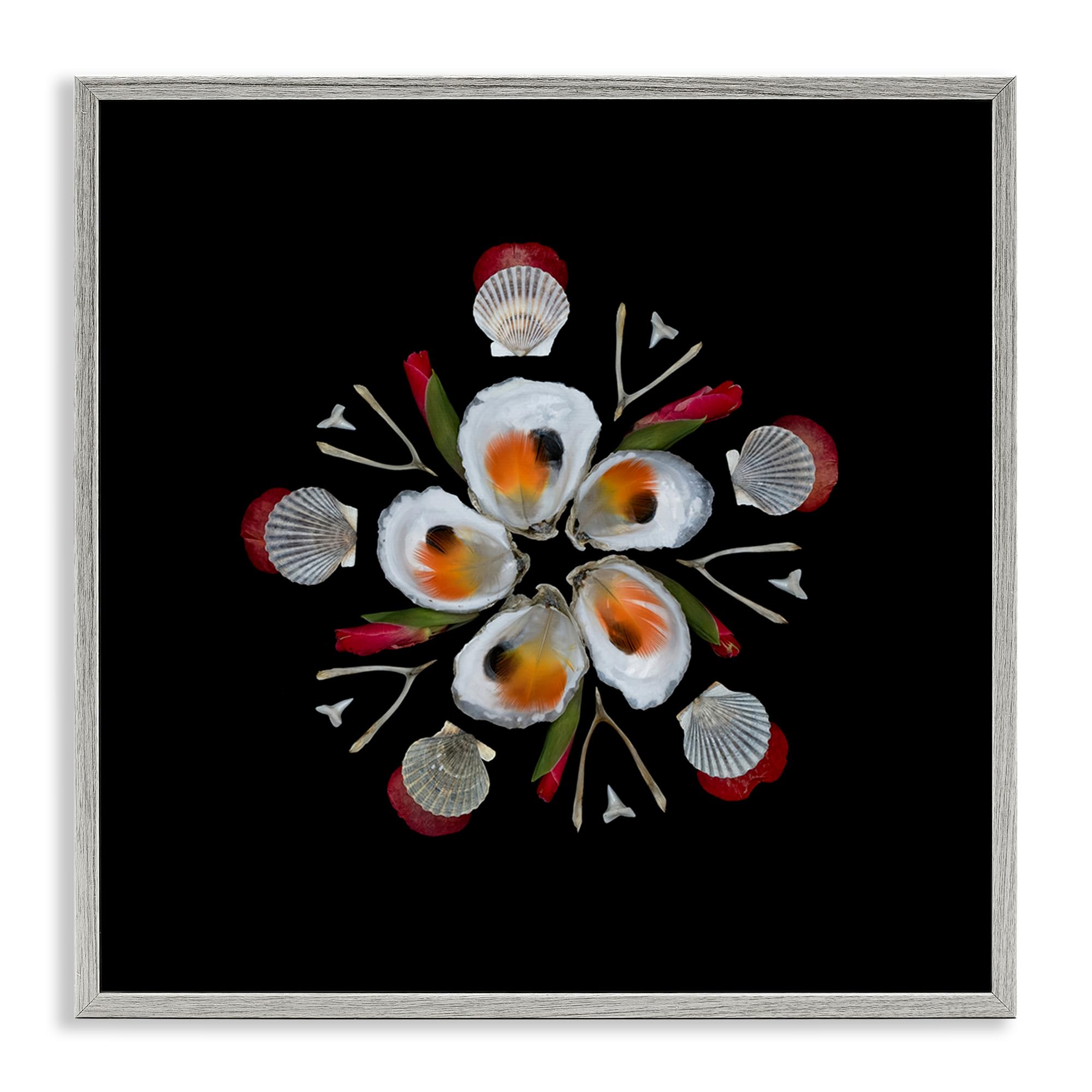 Stupell Industries 'Nautical Oysters Mandala', Framed Giclee Art, Gray, 17 x 17 Inches, Easy to Hang and Sturdy, Made in USA, by Beth Adoette