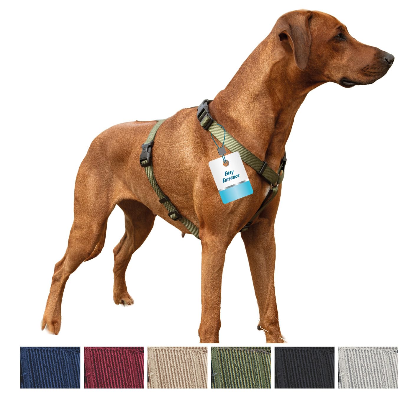 Petlando Hundegeschirr leicht anzulegen, Ohne Über-Kopf-Ziehen, Brustgeschirr stufenlos verstellbar, robust, komfortabel & pflegeleicht, Basic Comfort Geschirr für mittelgroße Hunde, Champagner, M