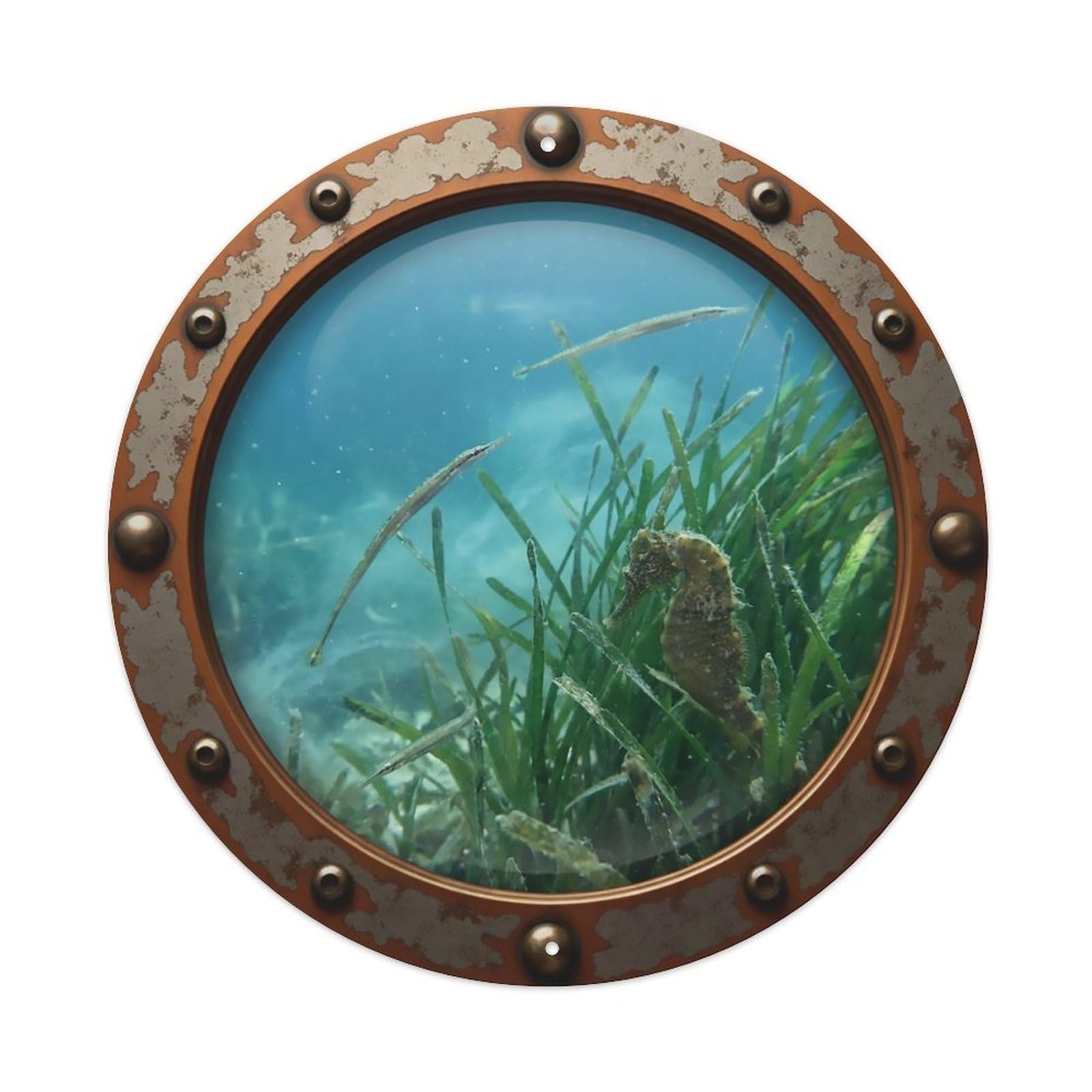 Vintage Porthole Pipefish Nautical Window View Metal Tin Sign