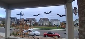 Review Image by K. Crook K. Crook