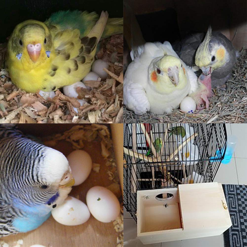 YJJKJ - Caja de nido de perrinito de madera de pino para pájaros, cacatúas, loros (M)
