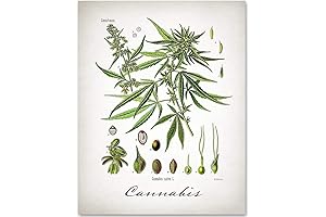Cannabis Weed Posters for Stoner Decor
