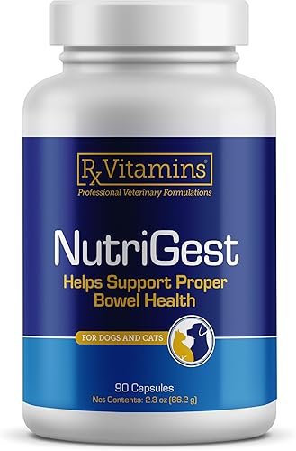 Rx Vitamins NutriGest Cápsulas para gatos y perros - Probióticos para la salud digestiva mejorados con glucosamina para apoyo a la salud intestinal