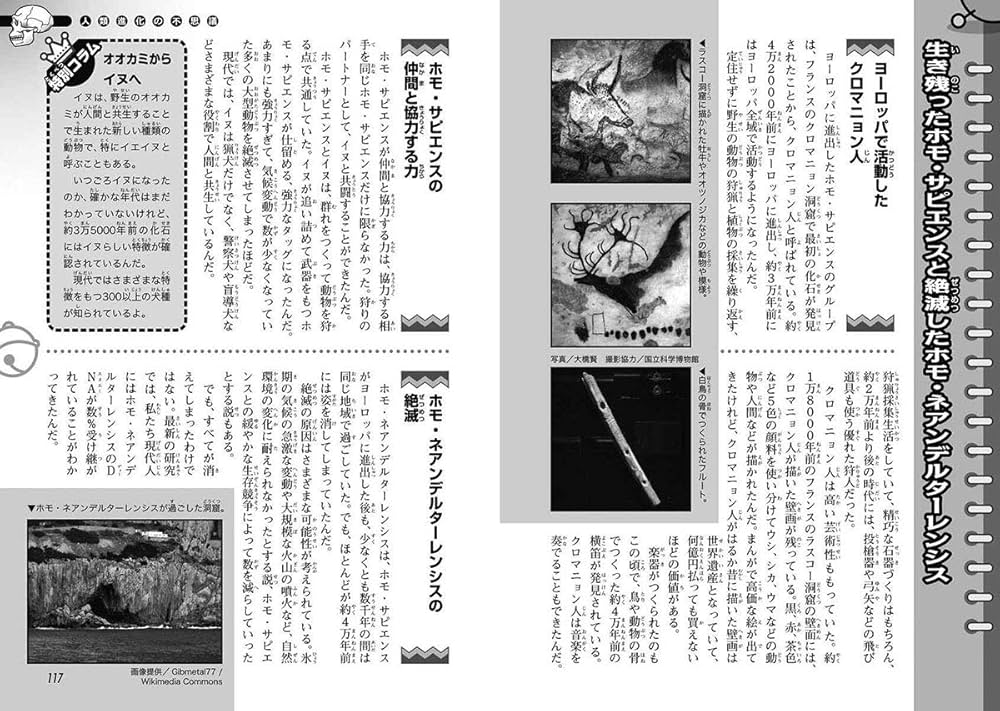 Amazon.co.jp: ドラえもん科学ワールド 人類進化の不思議