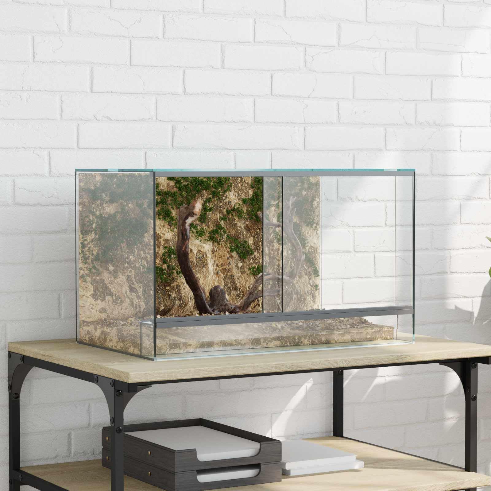 Generisch Terrarium mit Speicher Transparent 50 x 30 x 30 cm Glas,Tier- & Haustierbedarf,Haustierbedarf,Reptilien- & Amphibienbedarf,Terrarien-42020390