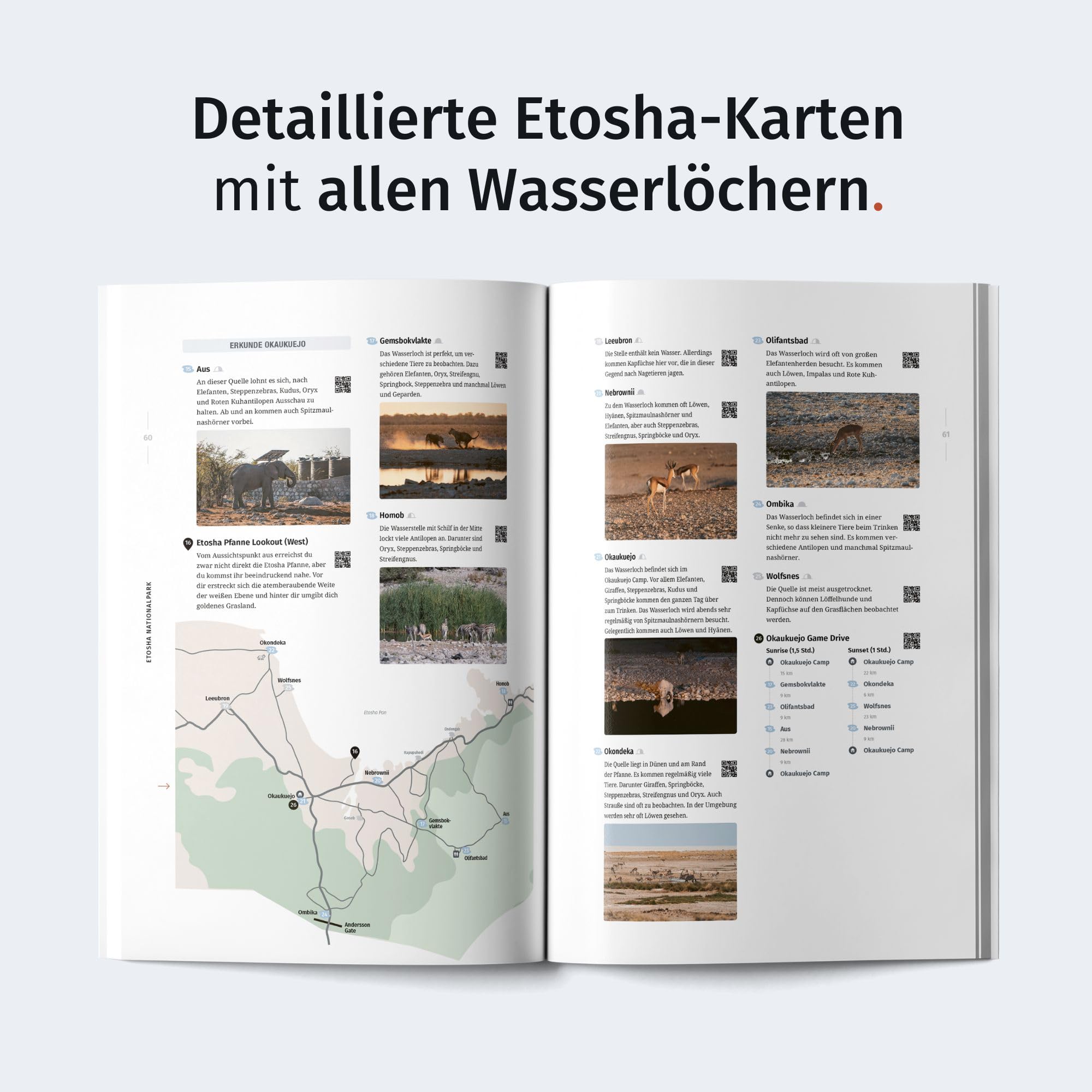 WILDLIFE TOUR GUIDE Reiseführer Namibia: Dein ultimativer Roadtrip-Guide für unvergessliche Tierbeobachtungen als Selbstfahrer (inkl. Etosha-Karte und App)
