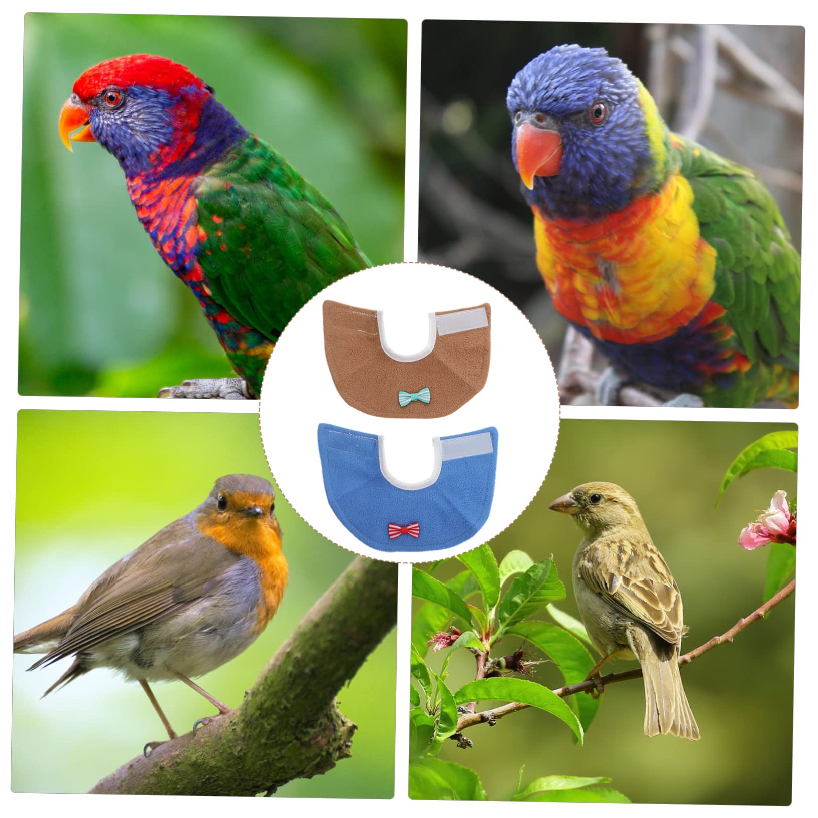 BUGUUYO 2 Pack Parrot Biting Collar Elizabethan Bird Protection Collar for Healing Recovery Random Color