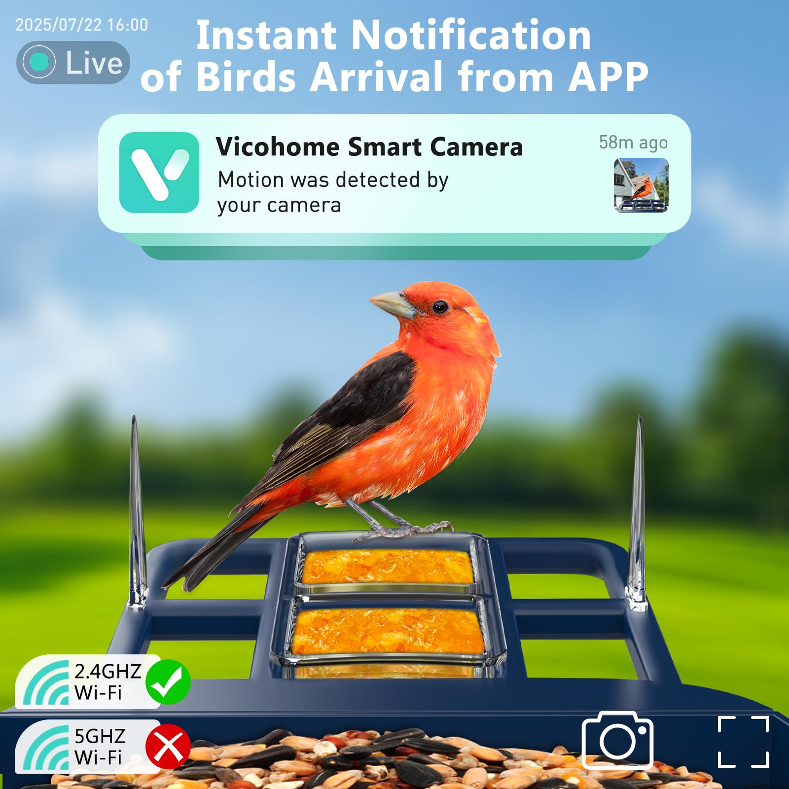 Comedero para pájaros con cámara con identificación IA, panel solar para pájaros de más de 10000 especies, casa inteligente para pájaros con cámara, vista en vivo 2K, alertas de llegada instantánea