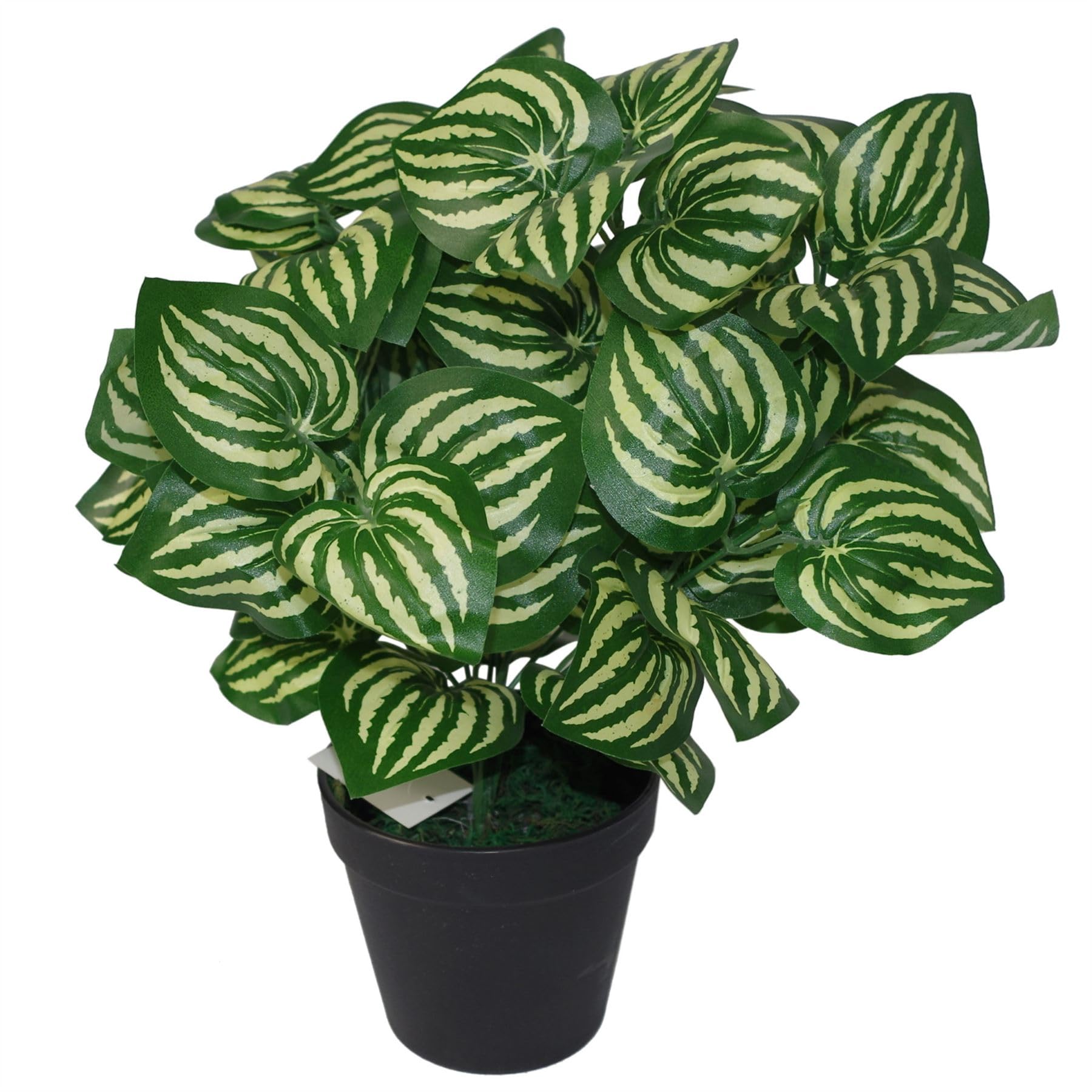 Leaf Design UK Realistic Artificial Foliage Plant with Pot, Watermelon, 45cm - Image 3