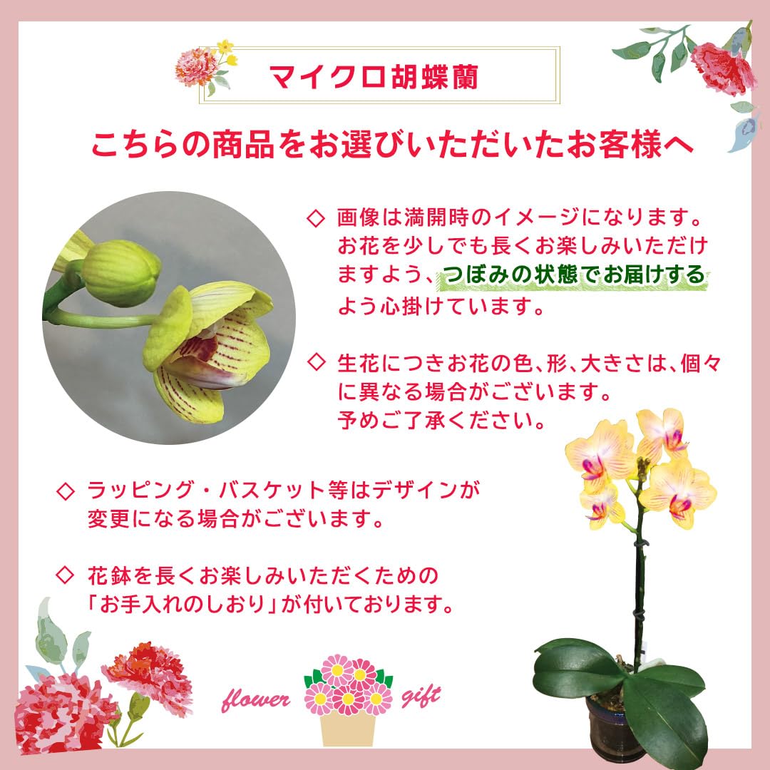 Amazon｜母の日 遅れてごめんね プレゼント 2026 ギフト 人気 gift