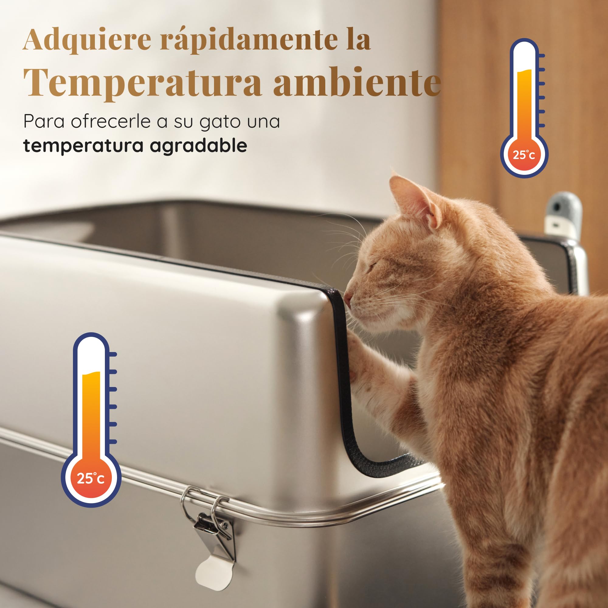 Arenero Acero Inoxidable Gatos – Caja de Arena para Gatos XXL – Capacidad de 38 L – Superficie Antiadherente – Sin olores y Antiadherente – Incluye Pala para Arena y Alfombrilla – 60 × 40 × 32 cm
