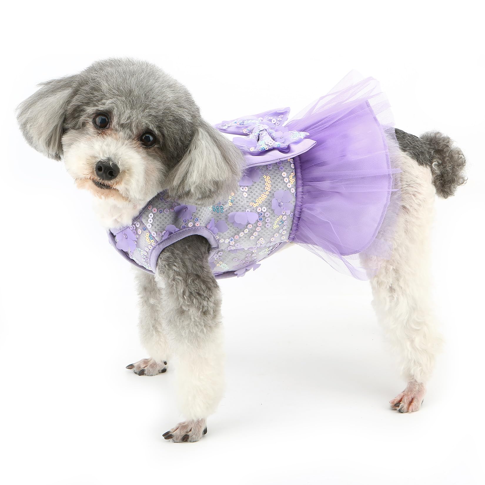Zunea Puppy Dog Dresses for Small Dogs Girl Summer Princess Harness Lace Dress with Leash Ring Breathable Mesh Vest Skirt with Bowknot Cute Flowers Female Pet Clothes for Chihuahua Yorkie Purple S