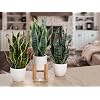 Product Photo 6