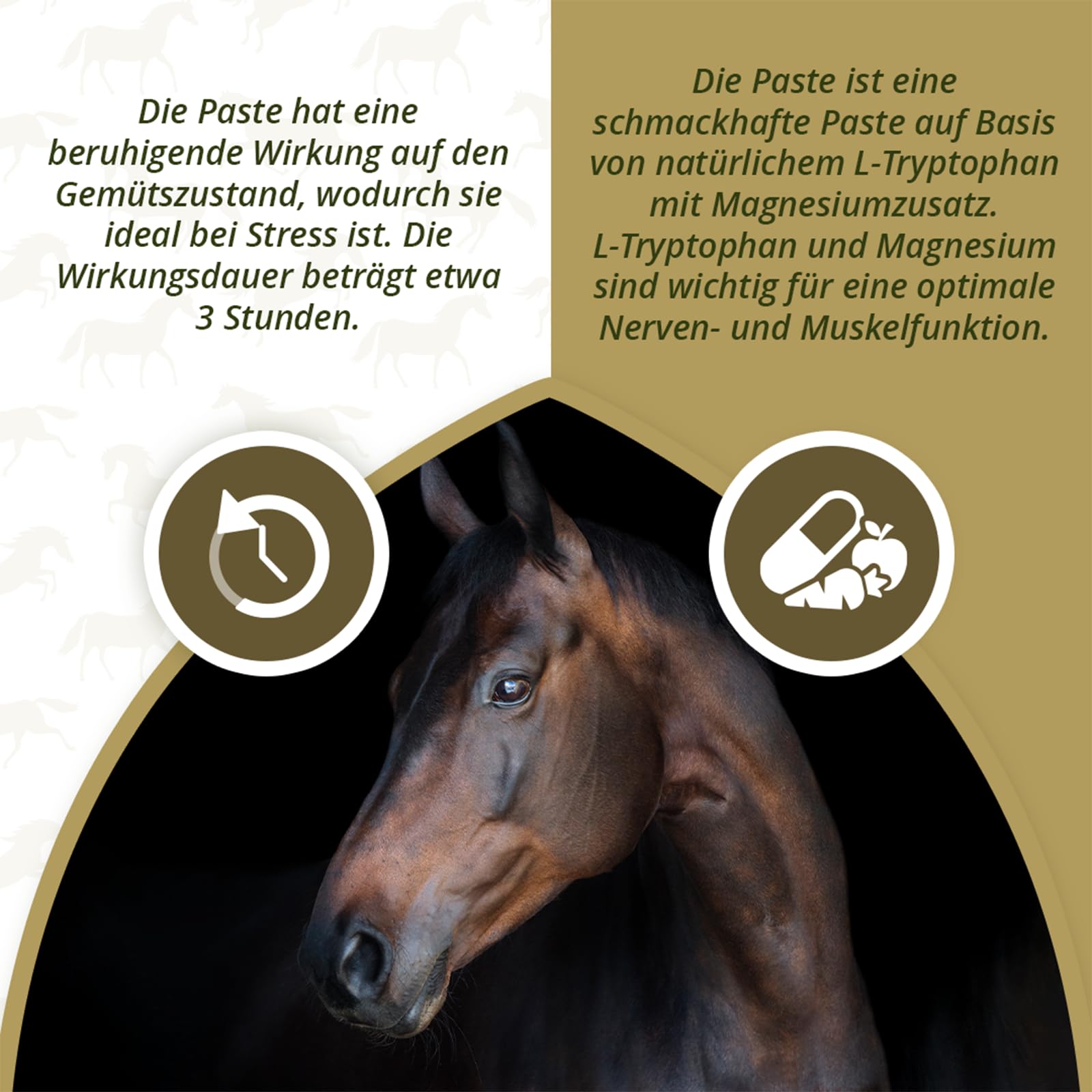 Excellent No Stress Pasta Horse - Zur Unterstützung bei Stress und Anspannung - Geeignet für Pferde - 1 Dosis