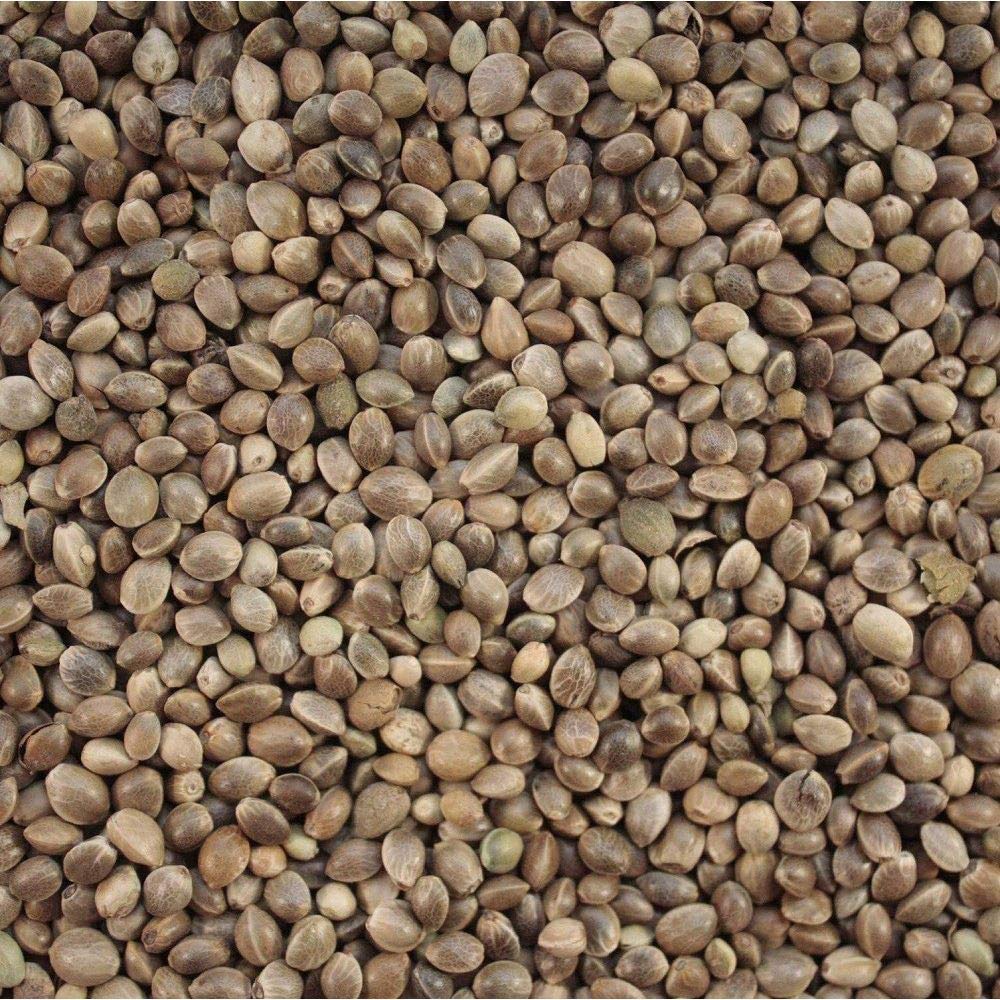 Versele-laga Semillas de cáñamo para pájaros silvestres y enjaulados, 20 kg