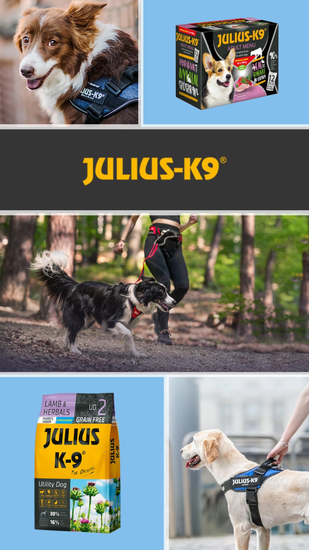 Julius-K9 - Fish & Rice - Hipoalergiczna karma dla psów dla dorosłych psów – kawałki psów na bazie łososia i ryżu – nadaje się do wszystkich ras – 12 kg