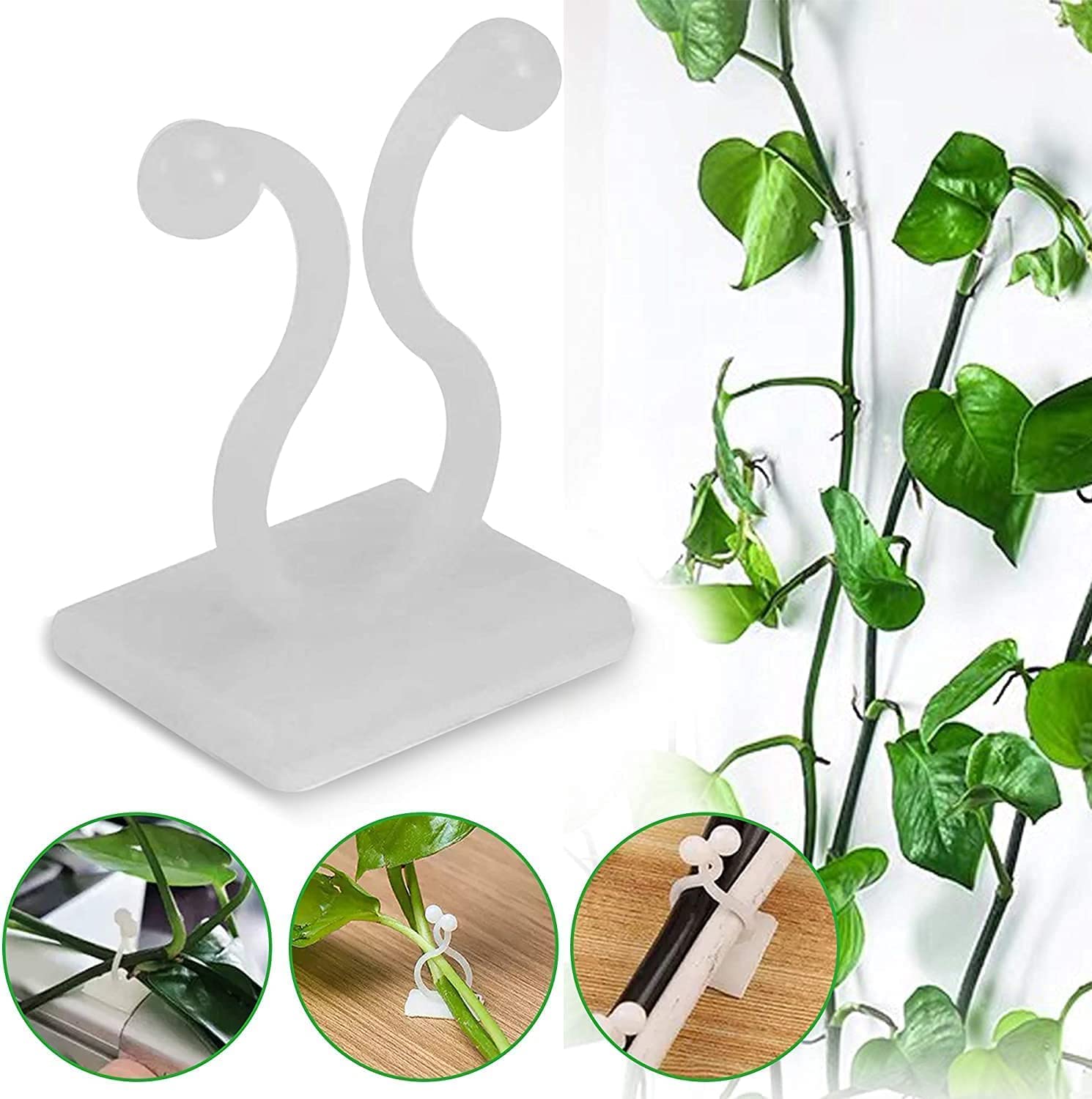 MAXZILA Plant Clips-Plant Climbing Wall Fixture Clips 30 PCS, Invisible Plant Clips for Climbing Plants, Self-Adhesive Plant Wall Clips for Plant Support, Sticky Plant Fixture Clips Plant Holder (B0BXD7X91M) Amazon Price History, Amazon Price Tracker