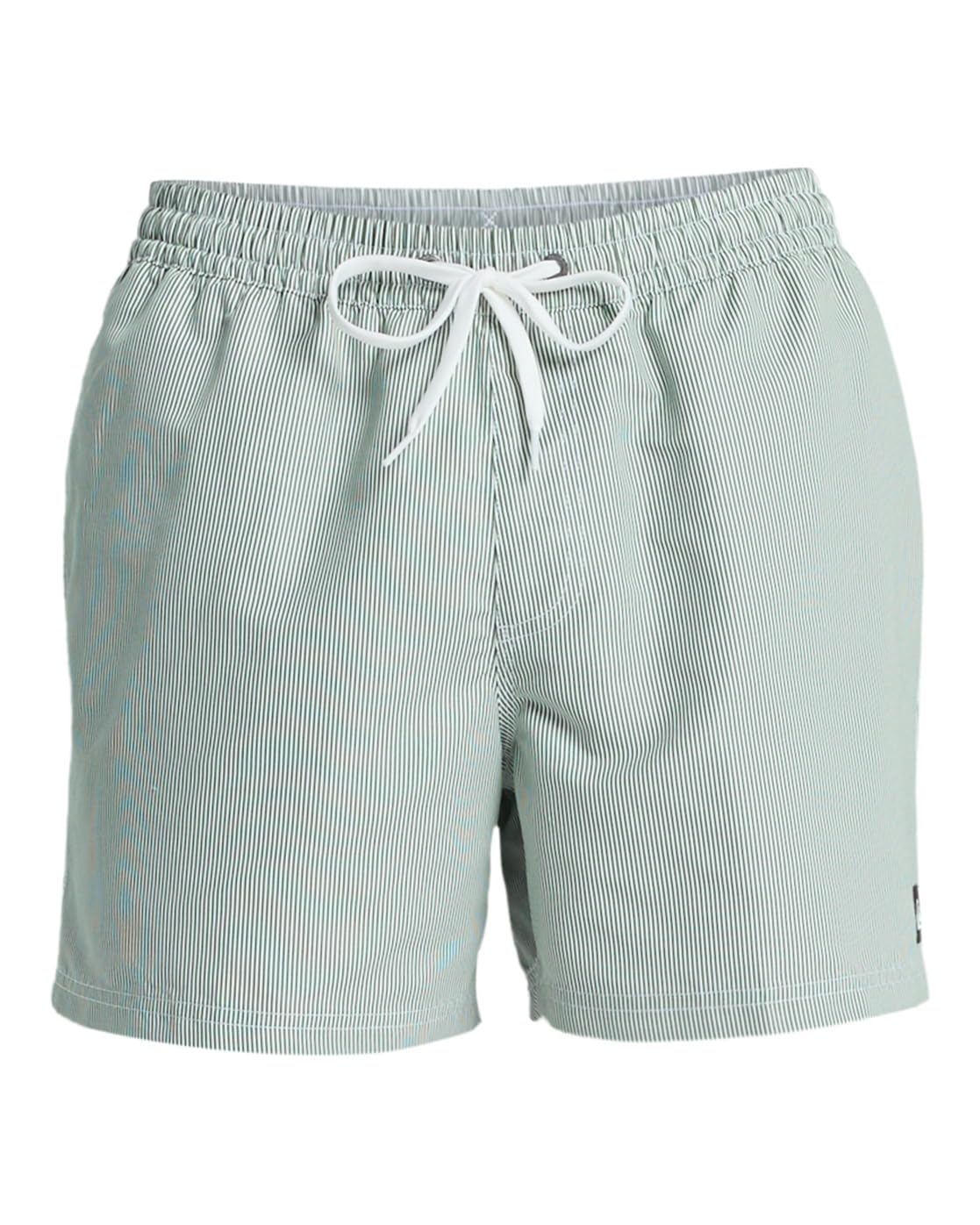 Quiksilver  Trunks / Swim shorts EVERYDAY DELUXE VOLLEY 15  (men)