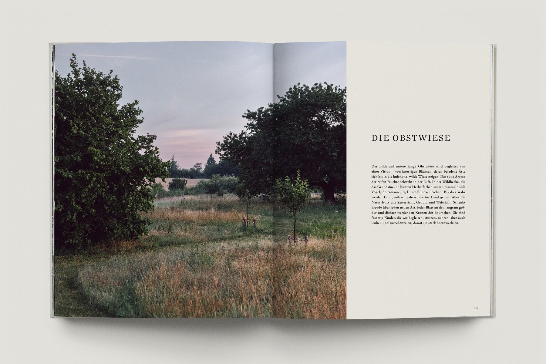 Zu den Wiesen: Vom naturnahen und artenreichen Gärtnern. Ein Gartenporträt. Das neue Buch zum Blog Krautkopf - Deutscher Gartenbuchpreis 2024