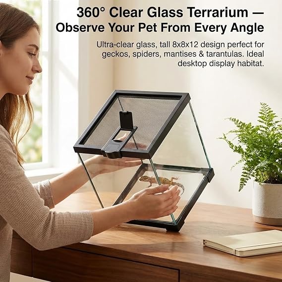 8x8x12 Terrarium Glass Tarantula Enclosure: Full View Stackable Tank