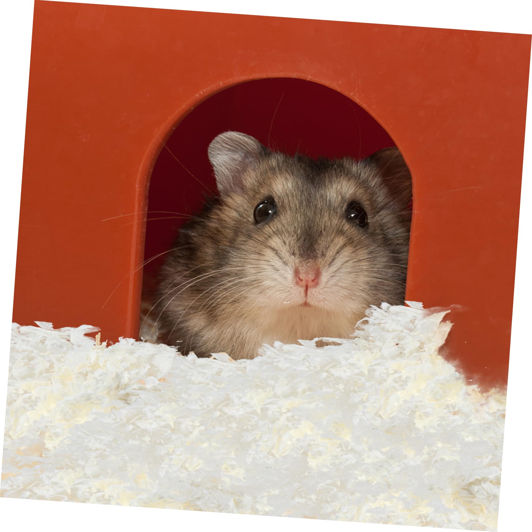 Beaupretty Litière Rongeur en Papier Blanc, Absorbante et Peu Poussiéreuse, pour Hamster et Lapin, Garde la Cage Propre,