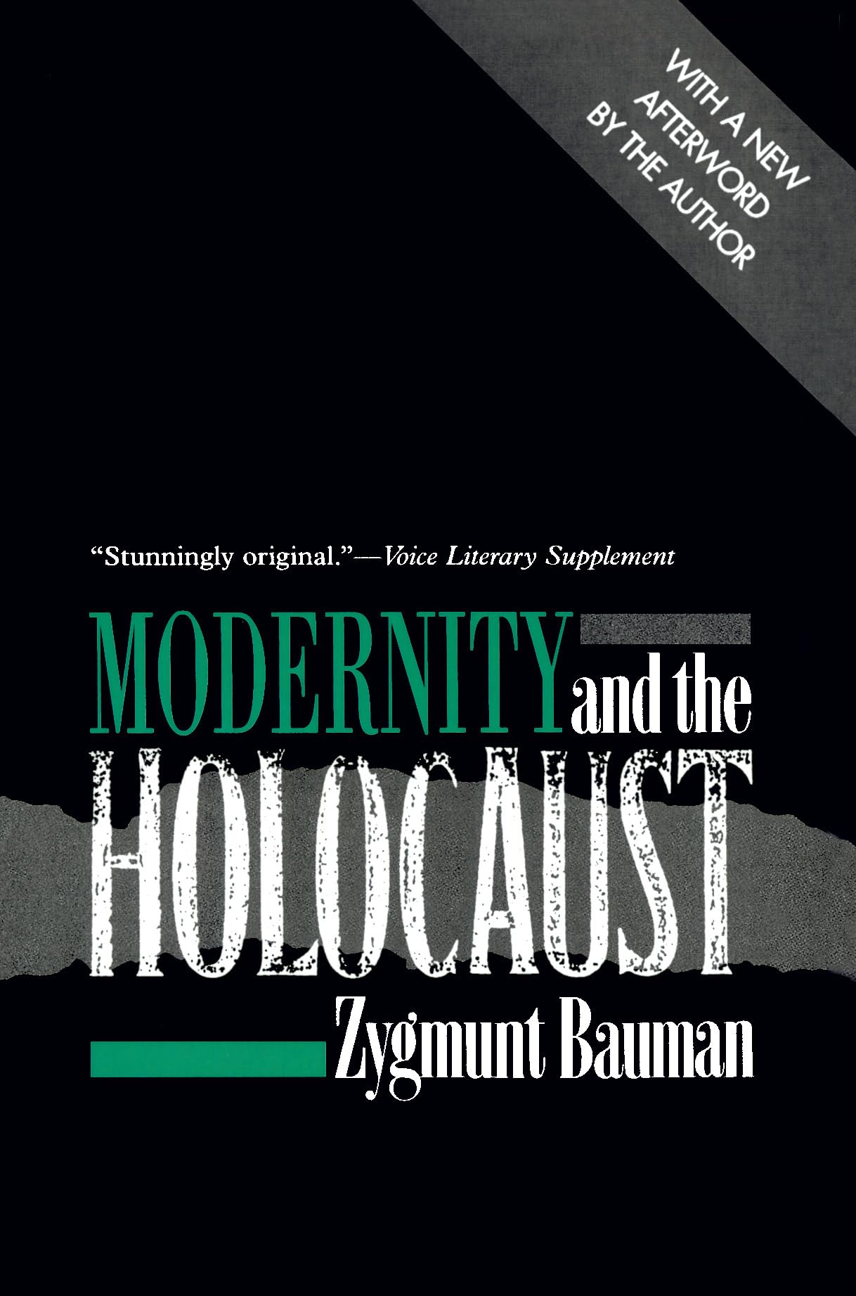 Modernity and the Holocaust Paperback – August 28, 2002