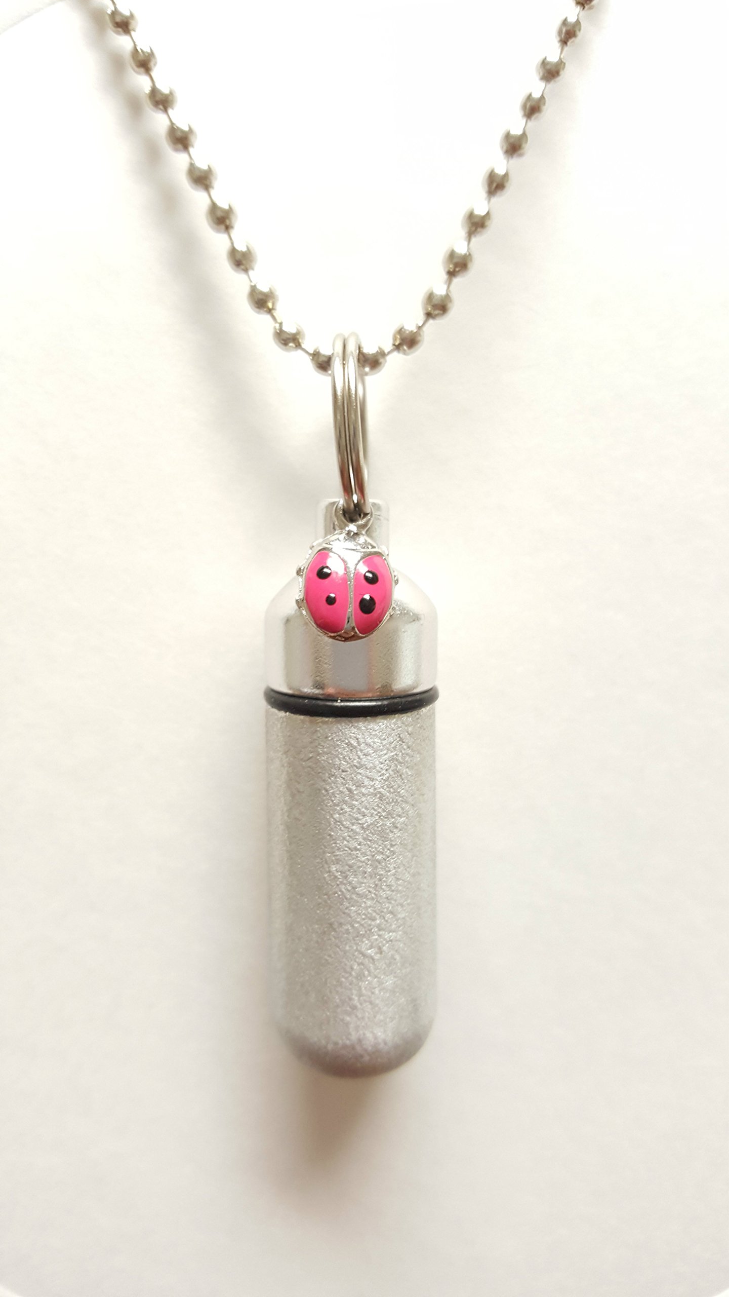 Pasco Specialty ProductsAdorable Brushed Silver Cremation URN with Red Ladybug - with Engraved Heart - Includes Velvet Pouch, Ball-Chain & Fill Kit