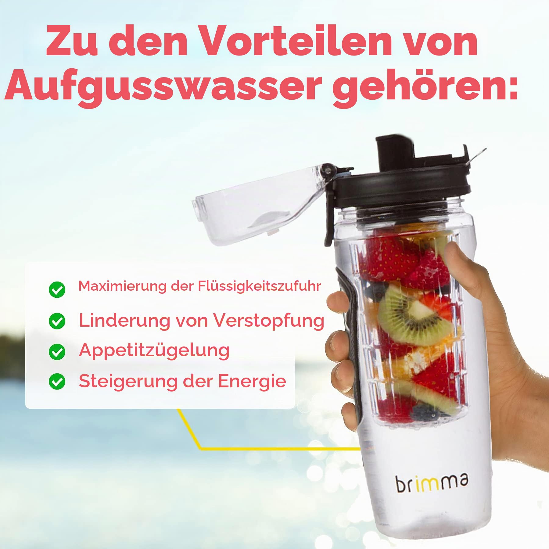 Brimma 1L Trinkflasche mit Früchtebehälter - Wasserflasche mit Fruchteinsatz - Auslaufsichere Sport Flasche - Sportflasche Water Bottle - Passt in Jede Sporttasche, Schultasche, Rucksack