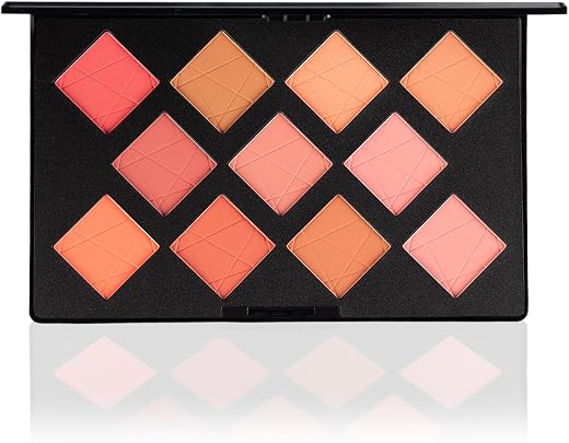 PAC Take Cover Blusher X11 | Long Lasting, Matte HD Finish Face Palette | 11 Lightweight Natural Shades with Highlighter, ...