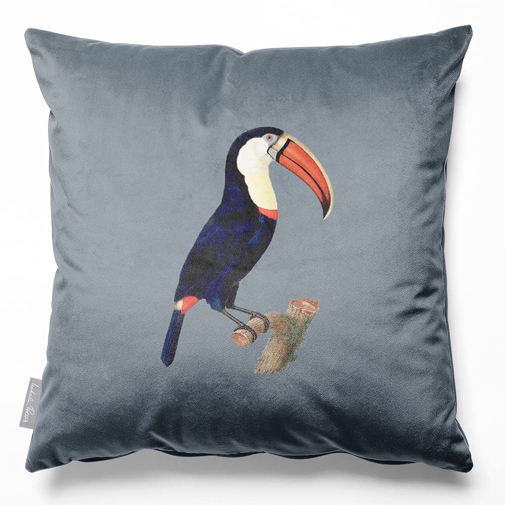 Izabela Peters Toucan - French Grey Velvet Cushions - Eco-Friendly, Filled, 45 Cm, Chair & Sofa Cushions