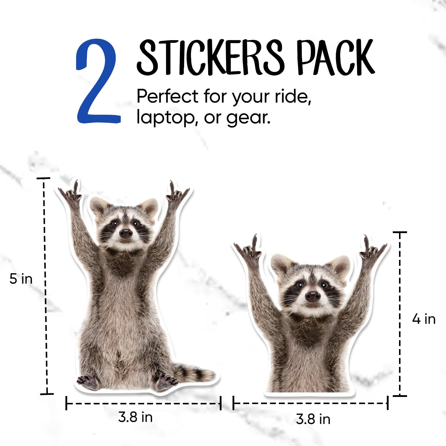 | Rocking Raccoon Stickers (2 Pcs) - Strong Adhesive, Durable, Weatherproof Funny Car Decals, Sizes 5" x 3.5" and 3.75" x 3.5" - Perfect for Vehicles, Laptops, Tumblers etc. - Image 4