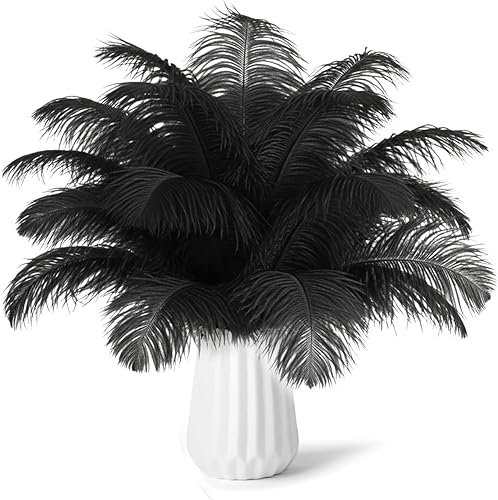 NEWONG 30 plumas de avestruz negras naturales a granel de 8-10 pulgadas (7.9-9.8 in) jarrón para manualidades, boda, hogar, fiesta, centros de mesa,