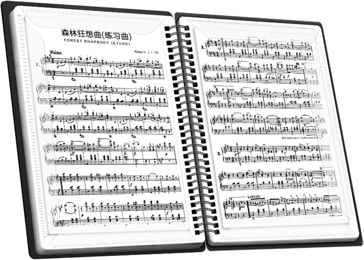 XUBX Sheet Music Folder, 60 Pages A4 Storage Rack for Treble Clef Sheet