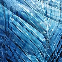 Vista 27 de CVHOUSE Juego de ropa de cama con diseño de panda, juego de edredón individual con panda y 2 fundas de almohada, lindo juego de colcha kawaii