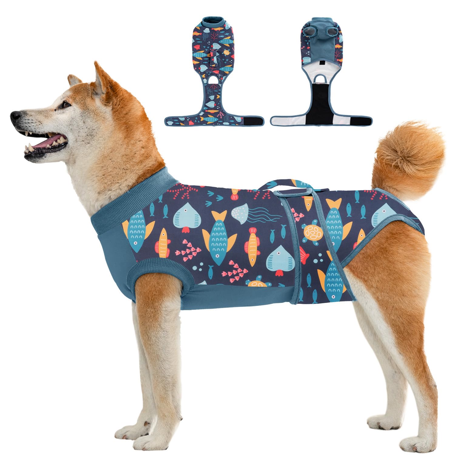 Photo 1 of Aimydog Dog Recovery Suit - Fish, Medium