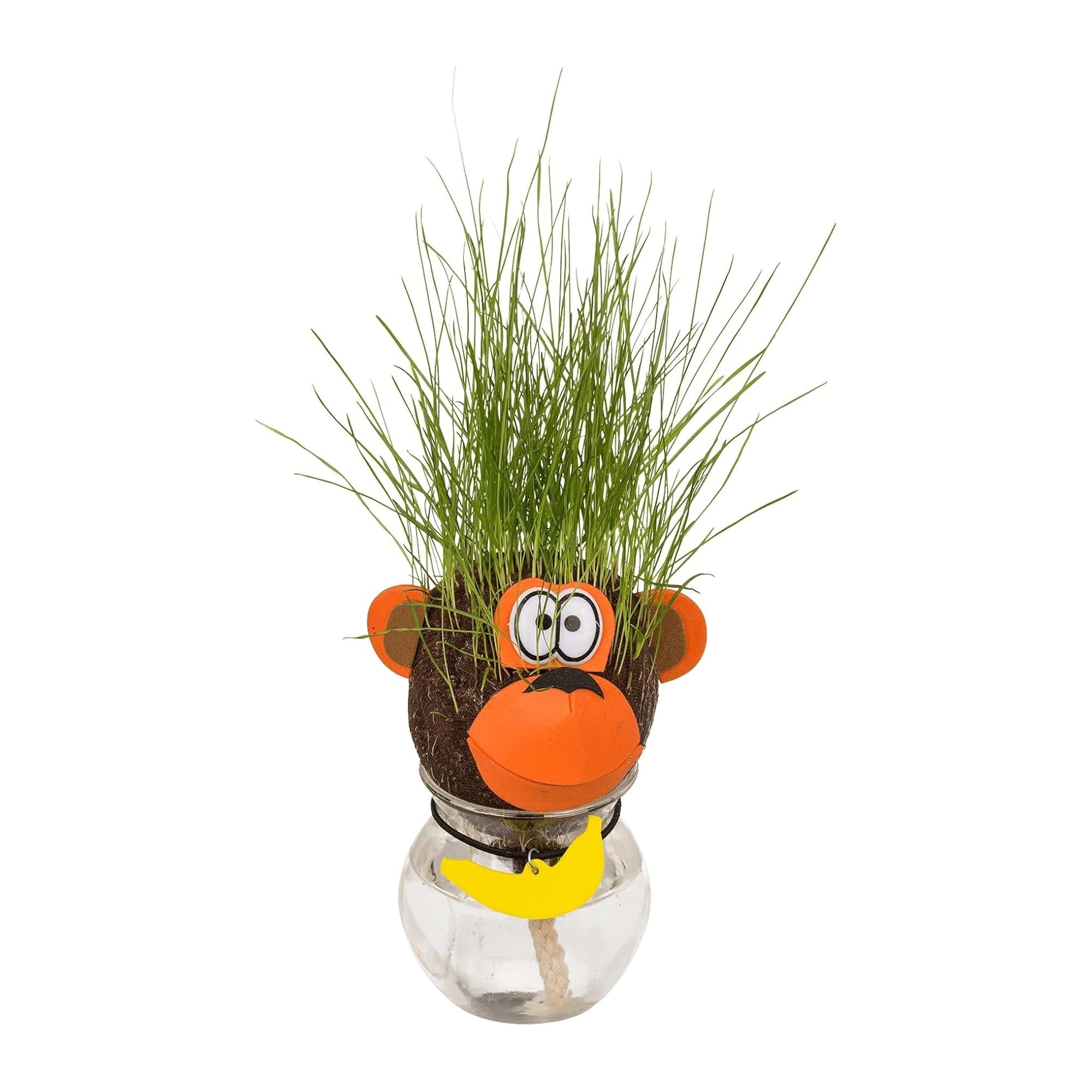 Testa Erba Che Cresce Scimmia - Pianta Capelli Scimmietta con Vasetto e Ciondolo Banana - Idea Regalo Originale Divertente Collega - Decorazione Scrivania Ufficio - Grass Head 12,5 cm
