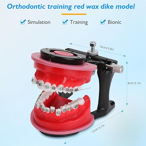 Miniatura 5 de Modelo de Typodonts de ortodoncia - Modelo de práctica de dientes de terraplén de cera de encías, moldes de reposicionamiento de ortodoncia para