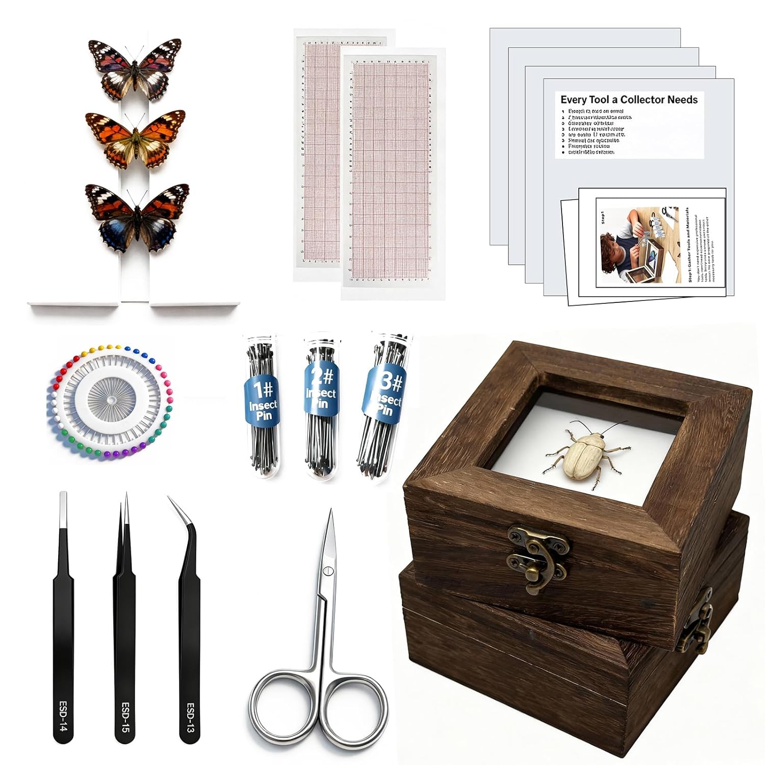 Insect Pinning Kits - Includes 2 Wooden Insect Display Cases, 5 EVA Foam Spreading Boards, Coordinate Paper, Wings Pressing Paper, Insect Pins - Complete Bug Pinning Kit for Beginners