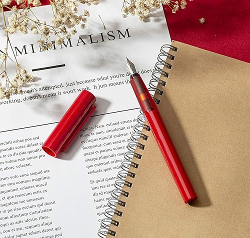 Miniatura 5 de ZYWL SKY - Pluma estilográfica incluye caja de regalo y convertidor de recarga de tinta, el mejor regalo para niños o amigos (rojo, punta EF)