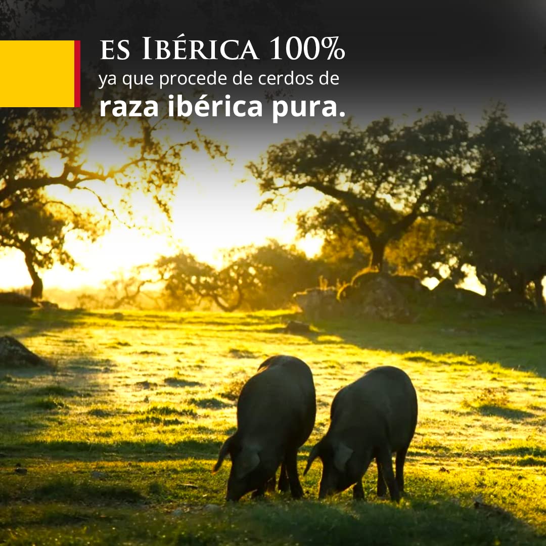 Paleta Cinco Jotas 5J de Bellota Pata Negra - Paletilla Entera 100% Ibérica de Jabugo - Más de 24 Meses de Curación - DO Jabugo - Peso 4,5Kg-5Kg - Jamonarium
