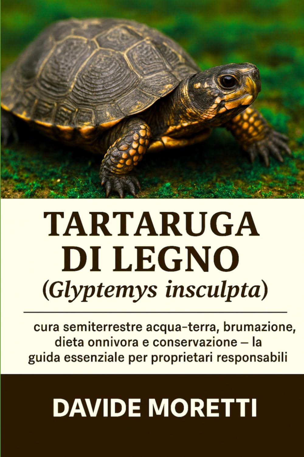 Tartaruga di legno (Glyptemys insculpta): cura semiterrestre acqua-terra, brumazione, dieta onnivora e conservazione – la guida essenziale per proprietari responsabili
