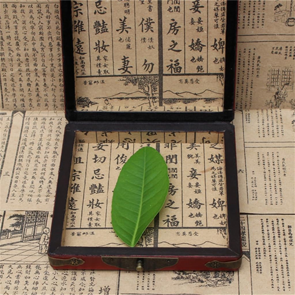 Antique Leather Box Square Classic Jewelry Inch Compass Wooden