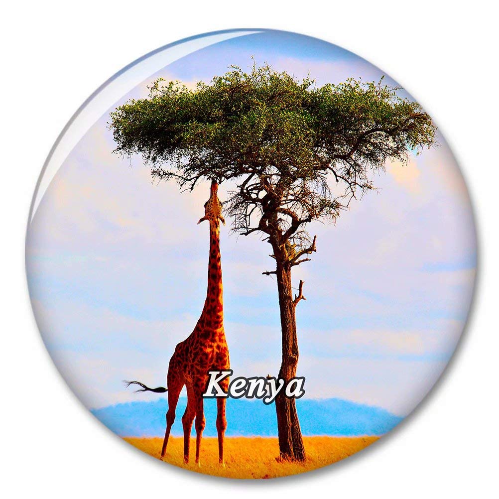 Kenya 3D magnete frigorifero adesivo turistico souvenir regali