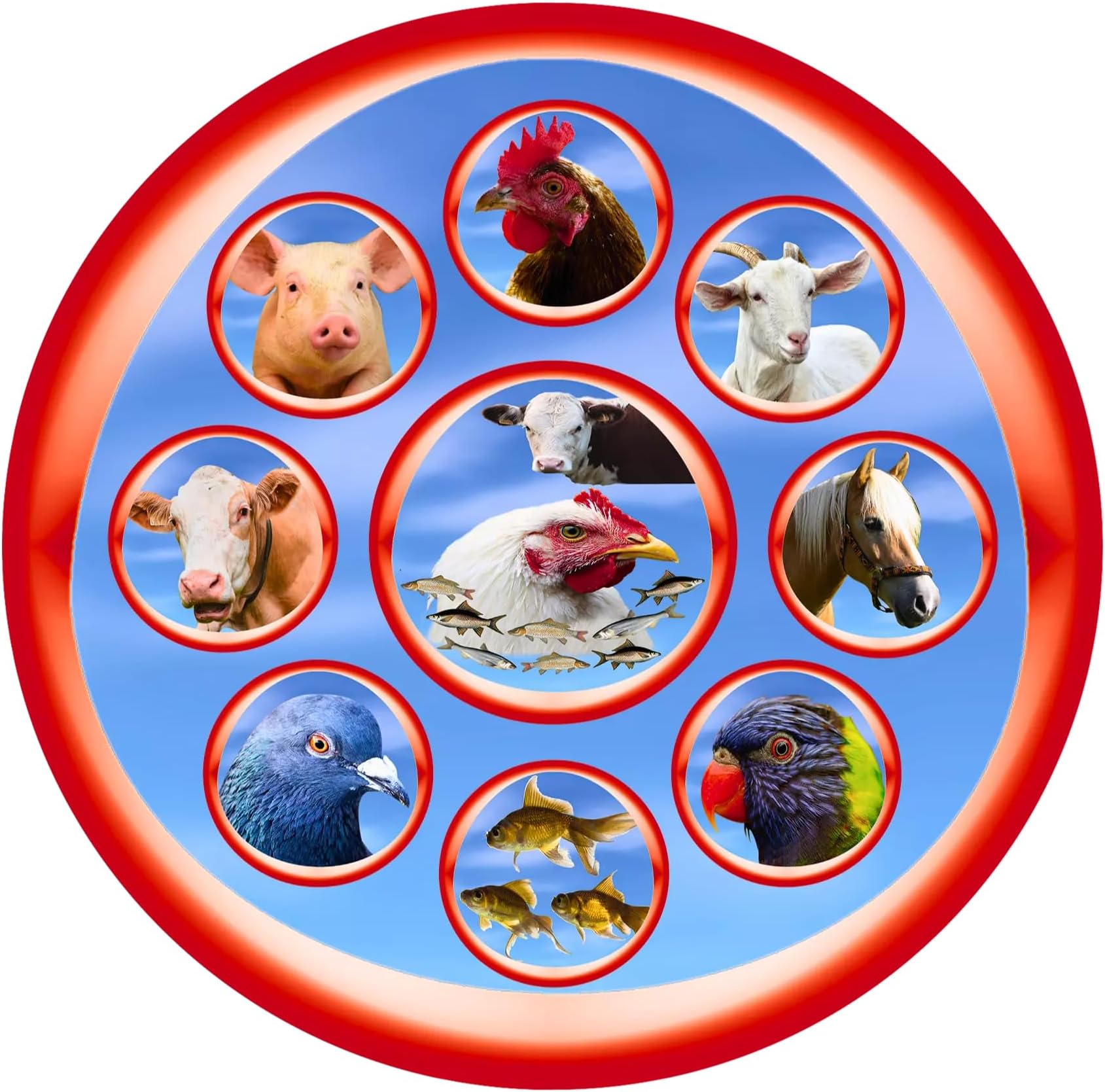 Growel Toxin Binder with Feed Acidifiers for Poultry Feed, Cattle Feed & Aqua Feed - 1 kg.