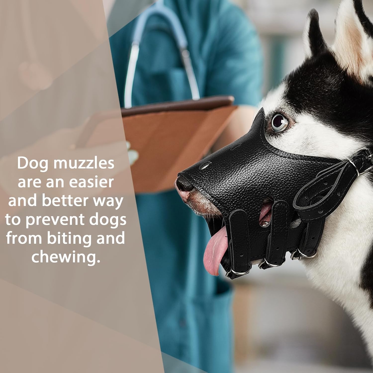 Size 5 Basket Muzzle and XL Leather Muzzle Bundle for Large Dogs to Prevent Biting and Chewing